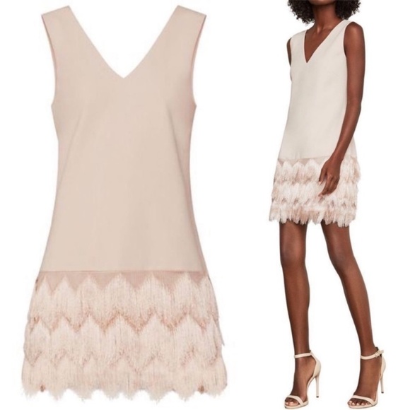 Bcbgmaxazria Addilyn Dress with Fringe Detail Size 10 - Picture 2 of 9